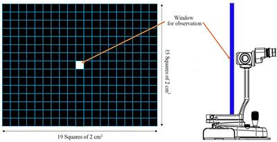 A novel method of evaluating the non-invasive tear film break-up time and progression of corneal opacification in dogs using imaging video